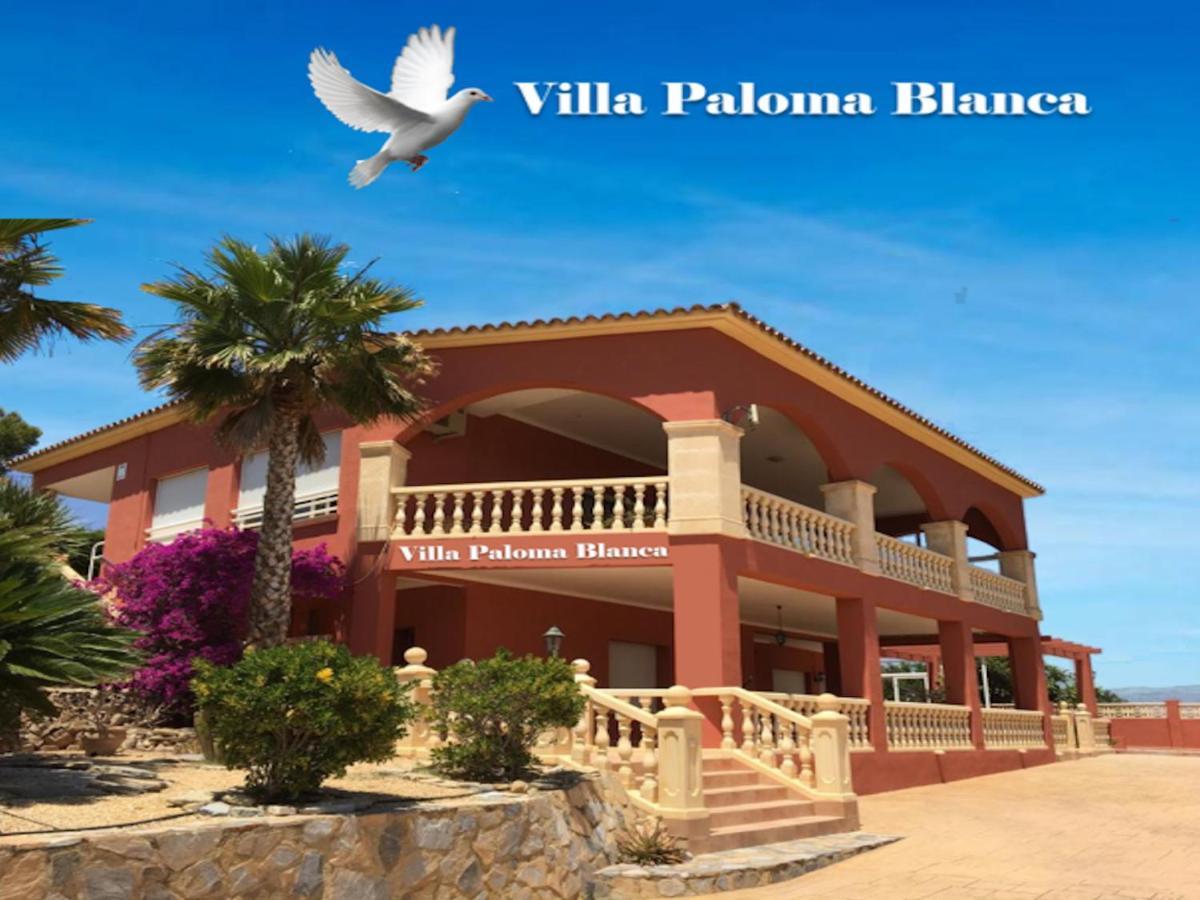 Villa Paloma Blanca El Albir Eksteriør bilde