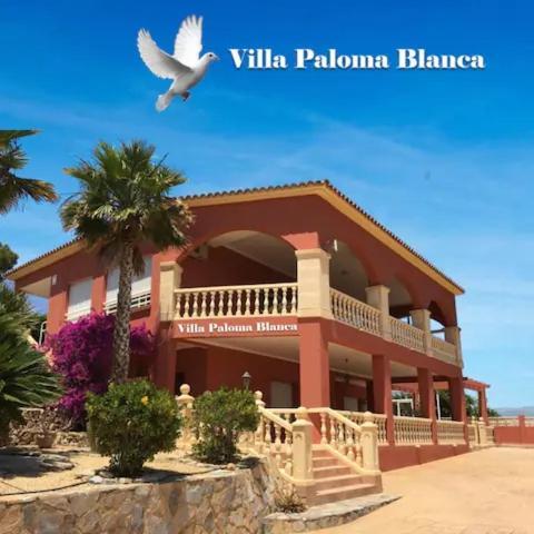 Villa Paloma Blanca El Albir Eksteriør bilde